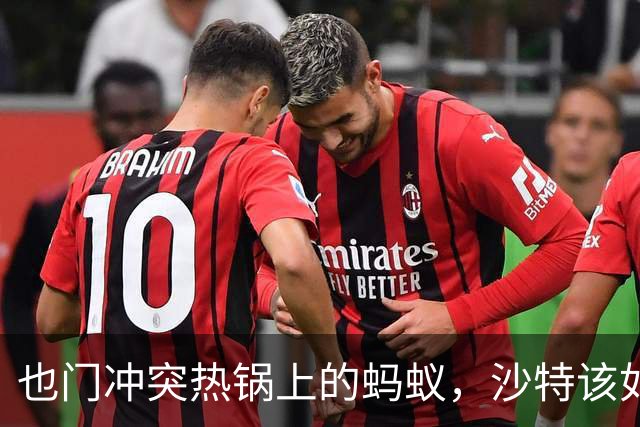 也门冲突热锅上的蚂蚁，沙特该如何自处？